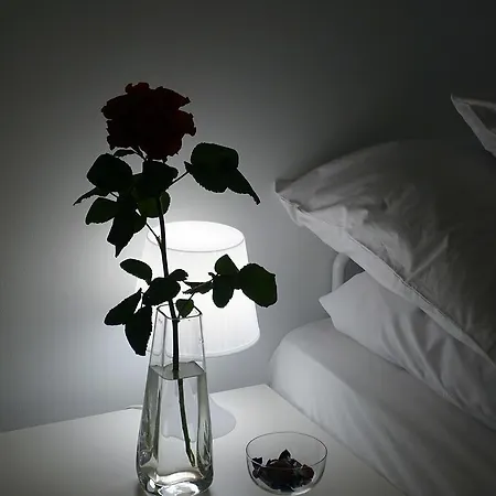 Stara Kamienica Na Kazimierzu Apartament Kraków